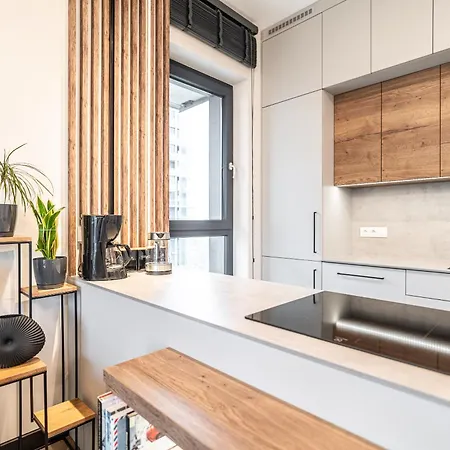 Rentplanet - Przy Muzeum Slaskim Apartamento