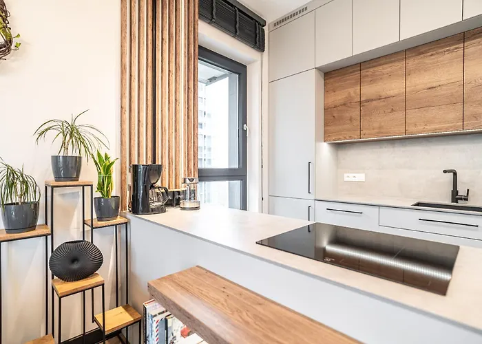 Rentplanet - Przy Muzeum Slaskim Daire